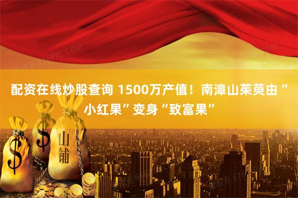 配资在线炒股查询 1500万产值！南漳山茱萸由“小红果”变身“致富果”