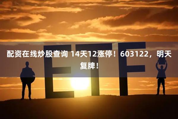 配资在线炒股查询 14天12涨停！603122，明天复牌！